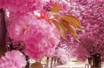 сьогодні прекрасний День. Але не подумайте, це не іменини