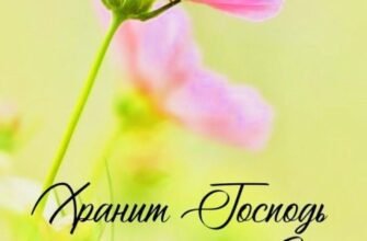 Сьогодні світлий та добрий день. Бажаю, щоб Божа Благодать