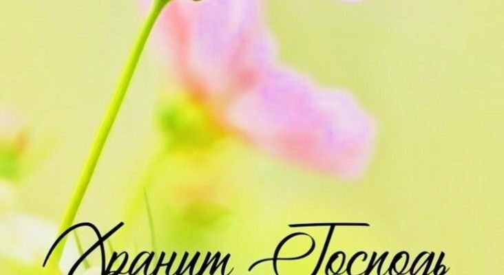 Сьогодні світлий та добрий день. Бажаю, щоб Божа Благодать