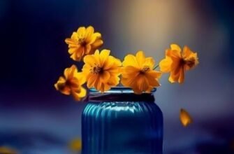 Сьогодні твій день. Це день, коли будь-яке твоє бажання