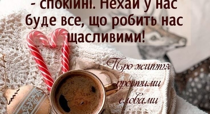 Сьогодні, у переддень Нового Року, я хочу підняти цей келих за всіх нас!