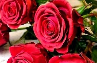 Сьогодні від щирого серця я вас вітаю з ніжним кольором бірюзи