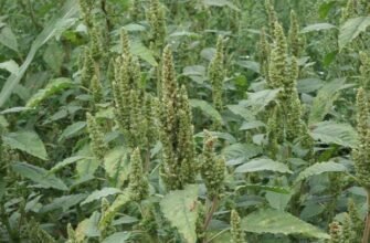 Все про прання: ефективні поради та секрети догляду за одягом