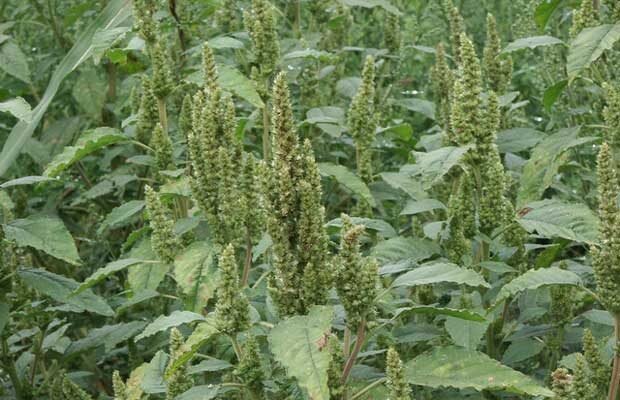 Все про прання: ефективні поради та секрети догляду за одягом