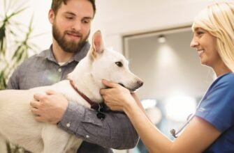 Хірургічна чи хімічна кастрація собак