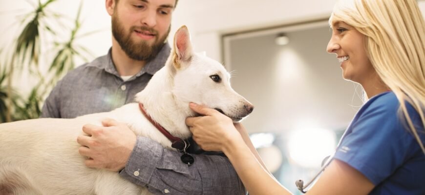 Хірургічна чи хімічна кастрація собак