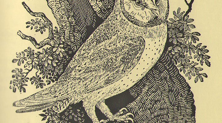 Ксилографія: мистецтво гравірування на дереві від середньовіччя до сьогодення