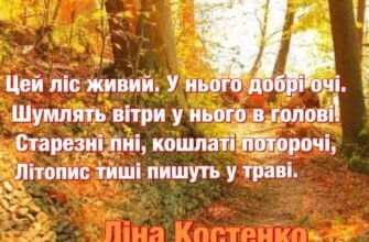 Та минає легко береги круті