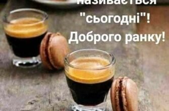 Так здорово, що ми зібралися сьогодні