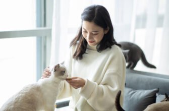 Чи можна котам їсти свинину?