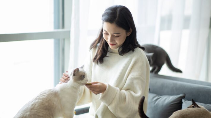 Чи можна котам їсти свинину? Чи можна котам їсти свинину?