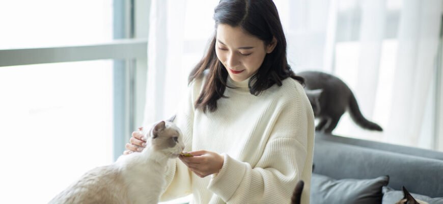 Чи можна котам їсти свинину?