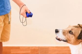 Дресирування собаки клікером