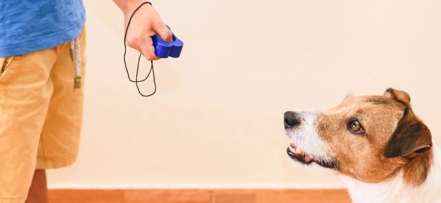 Дресирування собаки клікером