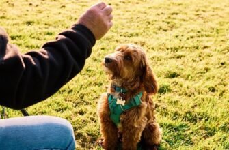 Як навчити собаку команді «перевертання»