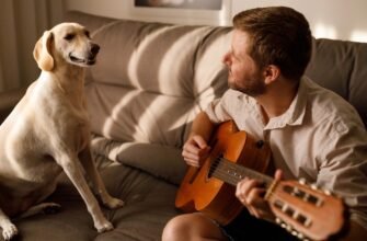 Яка музика найбільш заспокійлива для собак?