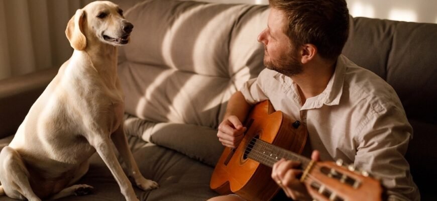 Яка музика найбільш заспокійлива для собак?