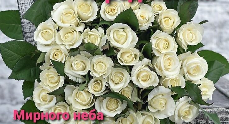 Тітонько, я від усієї душі вітаю тебе з днем народження Тітонько, я від усієї душі вітаю тебе з днем народження