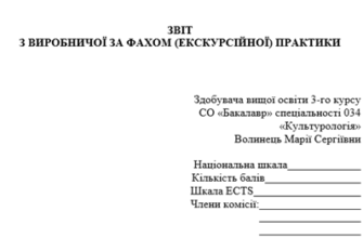 Як правильно оформити звіт: покрокова інструкція для початківців