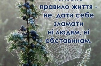 Ти дуже важлива людина в нашому житті. Життєвий досвід, мудрість та впевненість