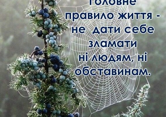 Ти дуже важлива людина в нашому житті. Життєвий досвід, мудрість та впевненість