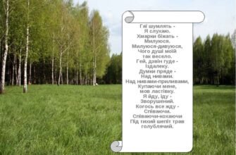 Ти та прекрасна квітка котра розквітала на нашому пустирі