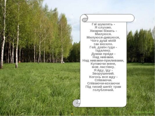 Ти та прекрасна квітка котра розквітала на нашому пустирі Ти та прекрасна квітка котра розквітала на нашому пустирі