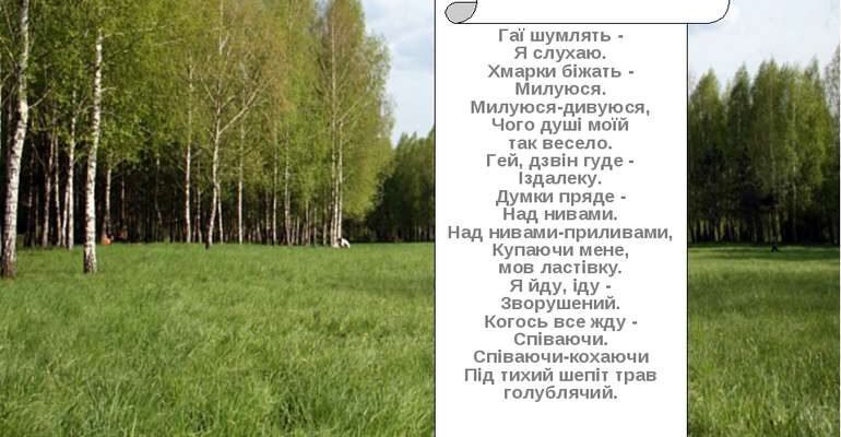 Ти та прекрасна квітка котра розквітала на нашому пустирі