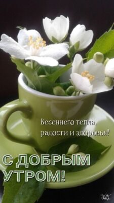 У день жіночої краси бажаємо весняного настрою