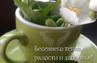 У день жіночої краси бажаємо весняного настрою
