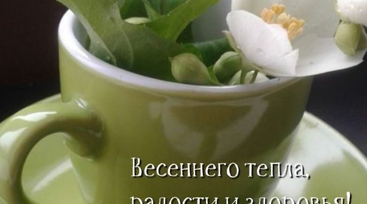 У день жіночої краси бажаємо весняного настрою