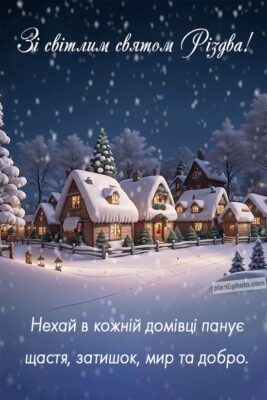 У світле та радісне свято Різдва бажаю щирої любові і щастя