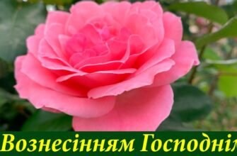 У велике свято — Вознесіння Господнього, бажаю віри