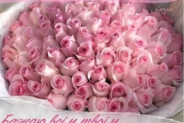 Улюблена моя сестра, вітаю тебе з Днем Народження