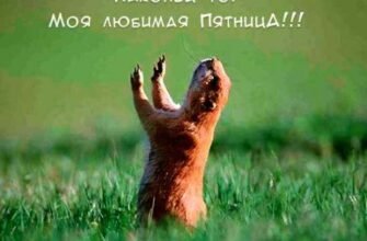 Ураа! Ось і наступила П’ятниця! Хоча свято не велике