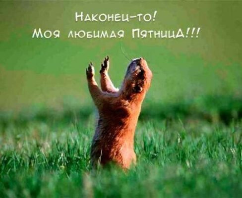 Ураа! Ось і наступила П’ятниця! Хоча свято не велике