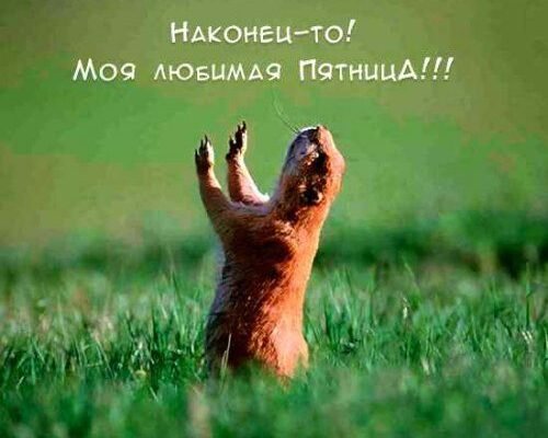 Ураа! Ось і наступила П’ятниця! Хоча свято не велике