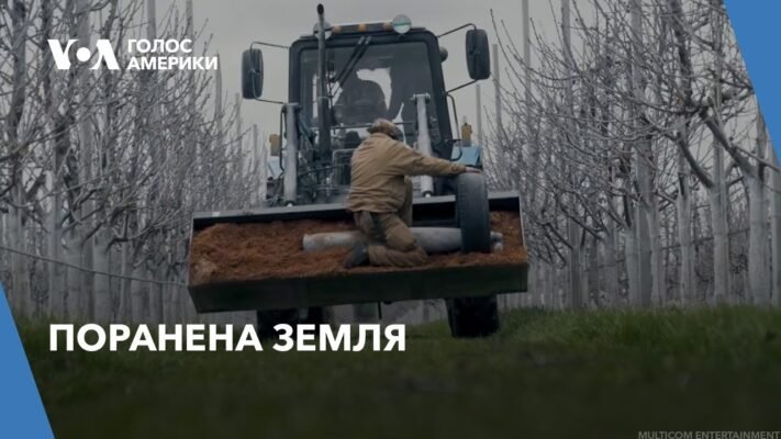 В гірському аулі помирав старий відомий у всій окрузі винороб