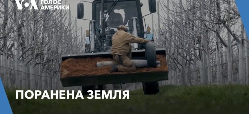 В гірському аулі помирав старий відомий у всій окрузі винороб