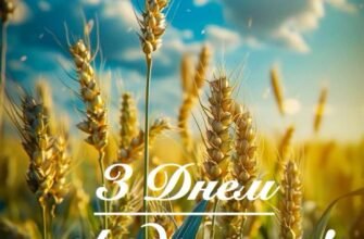 Вашій сім’ї сьогодні виповнилось 23 роки вітаю