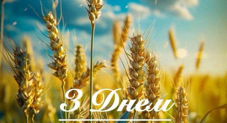 Вашій сім’ї сьогодні виповнилось 23 роки вітаю