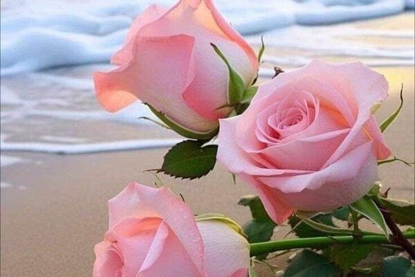 Від щирого серця бажаю тобі залишатися чудовою!