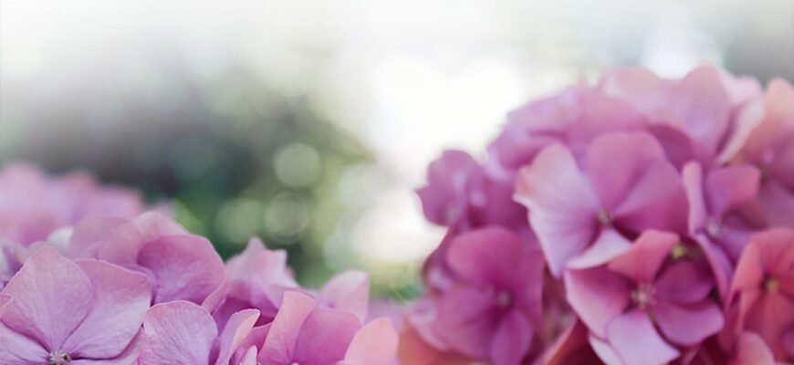 Від щирого серця вітаю всіх вас з Днем міста