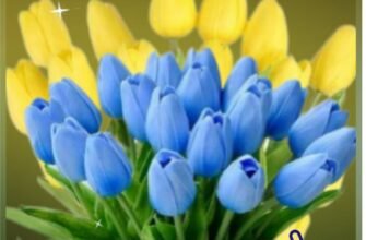 Від щирого серця вітаю з днюхою і бажаю, щоб завжди вистачало