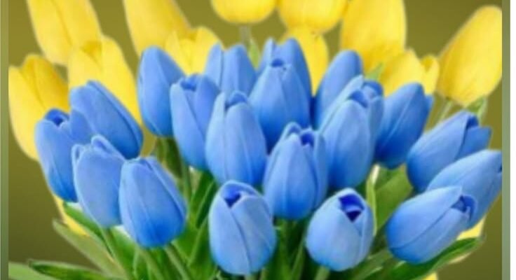 Від щирого серця вітаю з днюхою і бажаю, щоб завжди вистачало