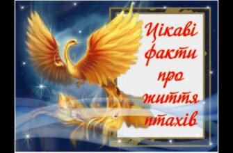 Відомо, що птах не буде повноцінно існувати