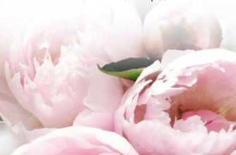 Вітаємо з Днем матері Від усієї душі та щирого серця бажаємо всім мамам