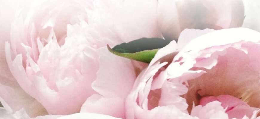 Вітаємо з Днем матері Від усієї душі та щирого серця бажаємо всім мамам