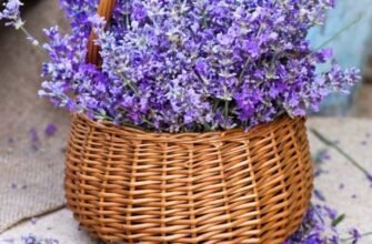 Вітаємо з днем народження і бажаємо вам здоров’я, енергії та гарного настрою