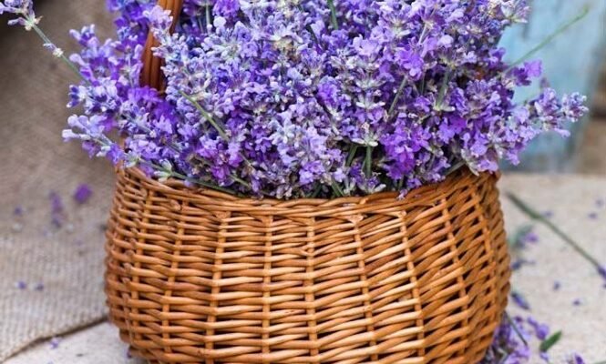 Вітаємо з днем народження і бажаємо вам здоров’я, енергії та гарного настрою